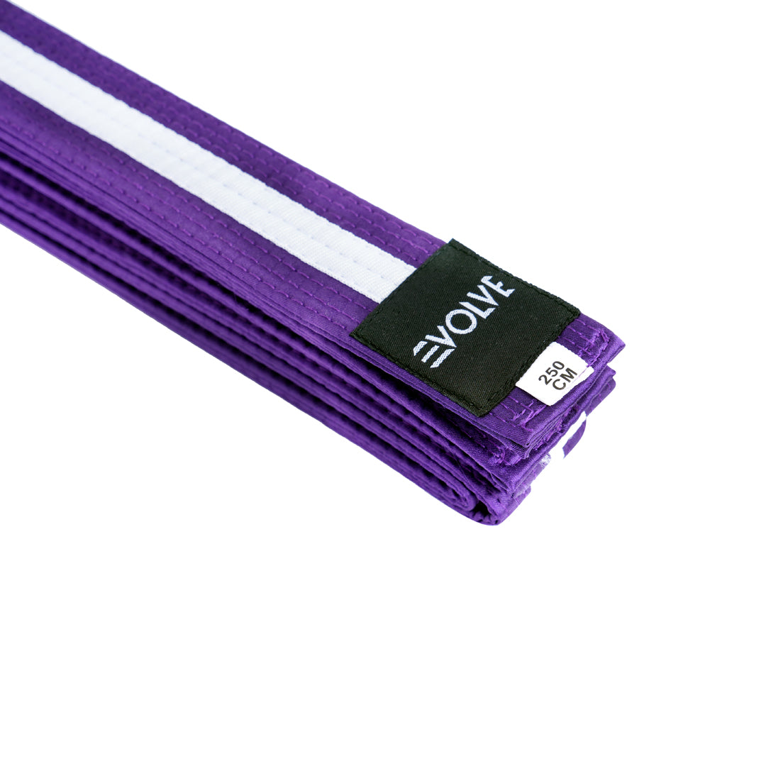 Evolve Striped Martial Arts Belt | Martial Arts Ranking Belts for Karate Kickboxing Jiu Jitsu Judo Taekwondo