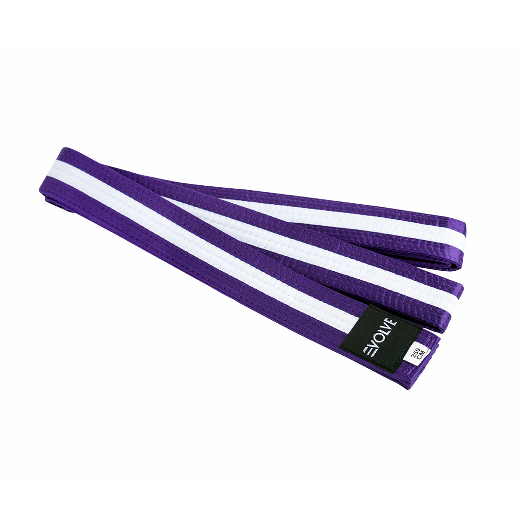 Evolve Striped Martial Arts Belt | Martial Arts Ranking Belts for Karate Kickboxing Jiu Jitsu Judo Taekwondo