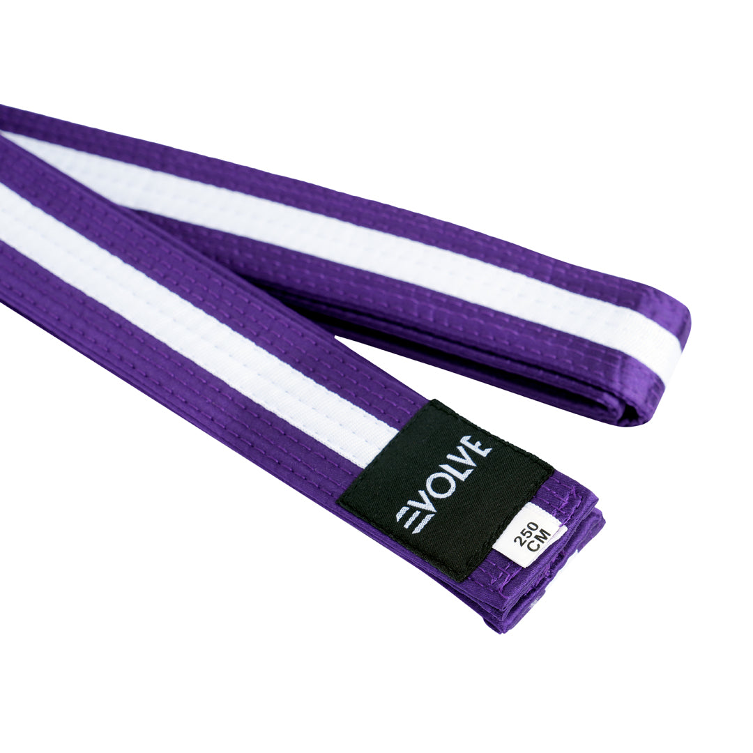 Evolve Striped Martial Arts Belt | Martial Arts Ranking Belts for Karate Kickboxing Jiu Jitsu Judo Taekwondo
