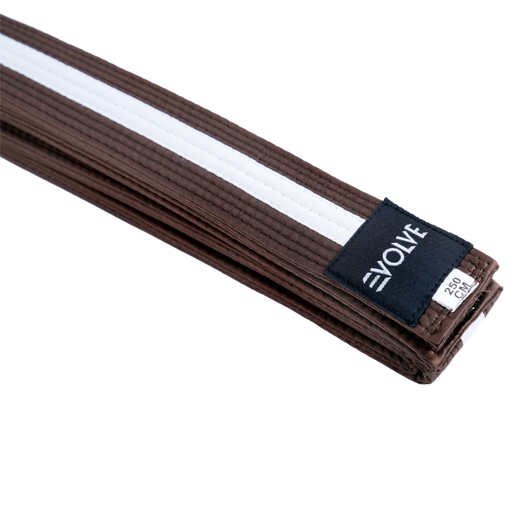Evolve Striped Martial Arts Belt | Martial Arts Ranking Belts for Karate Kickboxing Jiu Jitsu Judo Taekwondo