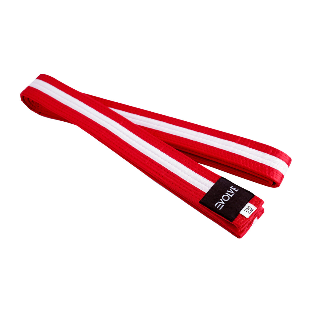 Evolve Striped Martial Arts Belt | Martial Arts Ranking Belts for Karate Kickboxing Jiu Jitsu Judo Taekwondo