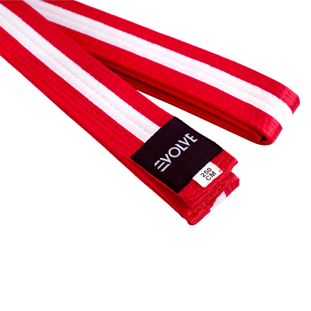 Evolve Striped Martial Arts Belt | Martial Arts Ranking Belts for Karate Kickboxing Jiu Jitsu Judo Taekwondo