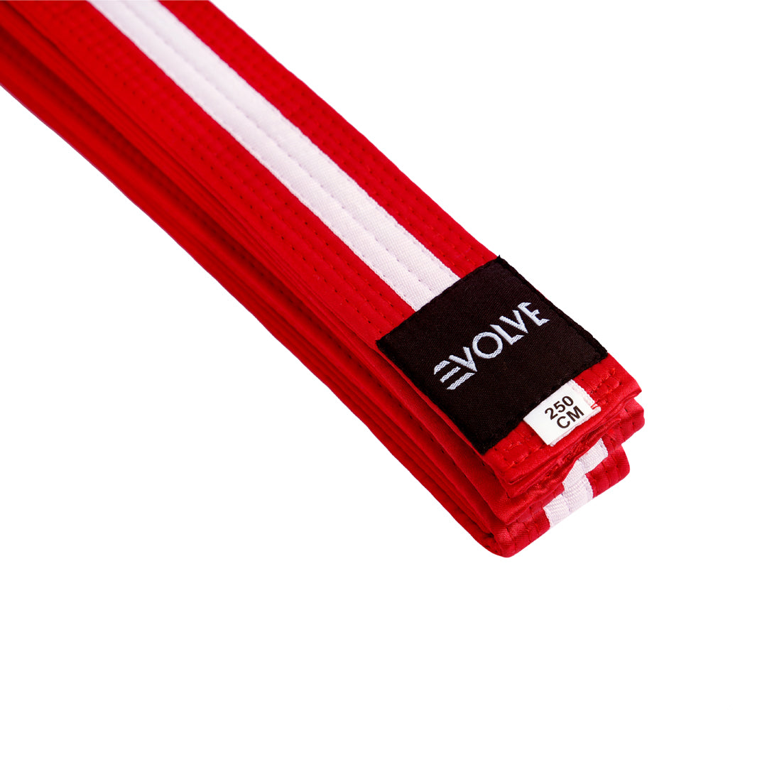 Evolve Striped Martial Arts Belt | Martial Arts Ranking Belts for Karate Kickboxing Jiu Jitsu Judo Taekwondo