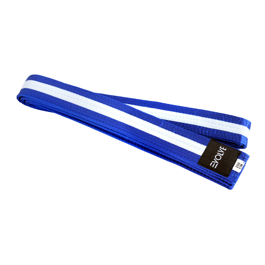 Evolve Striped Martial Arts Belt | Martial Arts Ranking Belts for Karate Kickboxing Jiu Jitsu Judo Taekwondo