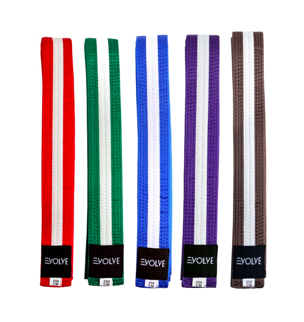 Evolve Striped Martial Arts Belt | Martial Arts Ranking Belts for Karate Kickboxing Jiu Jitsu Judo Taekwondo