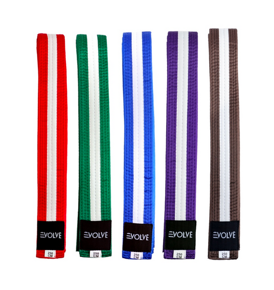 Evolve Striped Martial Arts Belt | Martial Arts Ranking Belts for Karate Kickboxing Jiu Jitsu Judo Taekwondo