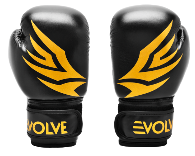 Evolve Kids Kickboxing Gloves - Black and Gold | Foam Padded Boxing and Kickboxing Gloves for Kids
